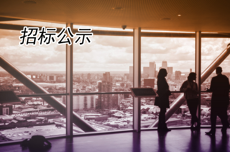 瘦西湖宸臨大觀酒店集中采購項(xiàng)目（入選單位）招標(biāo)公告